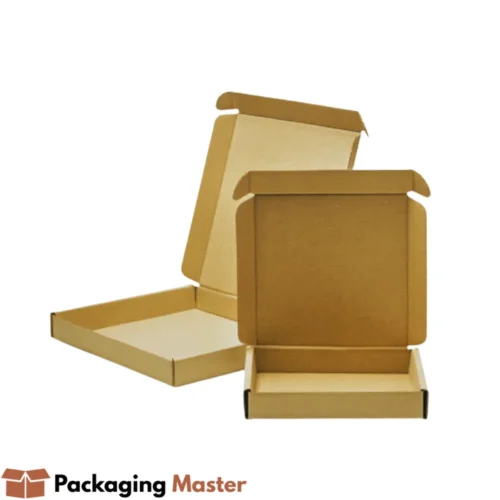 Durable Kraft Pizza Box by Packaging Master – High-Quality Food Packaging in Pakistan