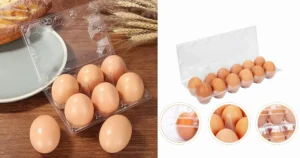 Transparent egg trays in Pakistan designed for safe egg storage, wholesale supply, durable packaging and multiple size options